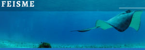 Fête Européenne de l\'Image Sous-Marine et de l\'Environnement